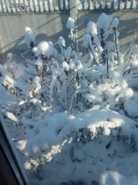 Ну, как те сказать... Крым, только что.