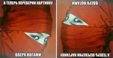 Смешные картинки с надписям