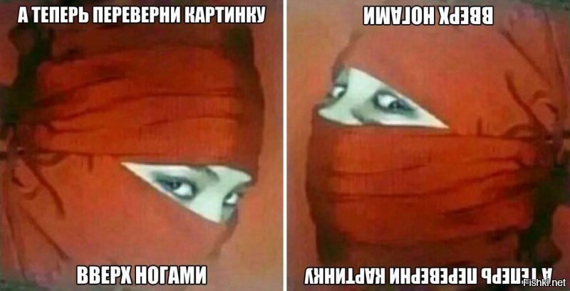 Смешные картинки с надписям