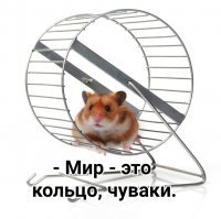У Ларри Нивена есть серия романов "Мир - кольцо". Может кто рискнёт написать "Мир-диск" с полной выкладкой всех физических процессов? И кто этот "диск - Земля" создал? Крутое чтиво получилось бы