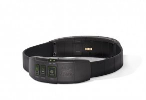 Такой красивой исторической справке немного не хватает технологичного настоящего. Настоящее - это не просто кожаный ремень, а, например, GPS ошейник.