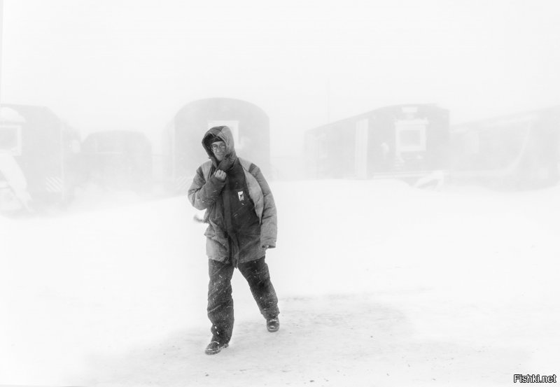 Арктика. Ямал. 
фото мои