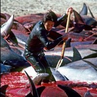 Японцам важней не сами острова, а прилегающая к ним акватория. Они вычерпают всё, что можно сожрать. И всякие там гринуписы им не указ. А что вы хотели, они даже дельфинов жрут.