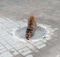 Только сфоткала.Качество не але,простите