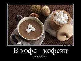 Как выращивают кофе в Доминикане