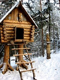 Девушка превратила старый пень в бесплатную библиотеку