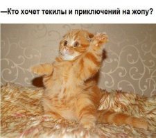 У меня кот рыжий... нужно рассказывать, как его зовут??? Вот-вот, именно так и зовут.