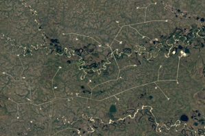 именно там, в болотах, лесах, степях и горах берут начало все углеводородные иглы