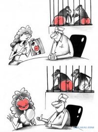 Прикольные комментарии из соцсетей