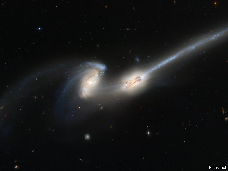 "Вселенная, как известно, расширяется."
Но что-то пошло не так, и галактика М31 (Туманность Андромеды) почему-то насрала на это утверждение, и решила столкнуться с нашим Млечным Путем.
Да и другие объекты тоже не очень согласны с этим. Например, галактики Мышки в созвездии Волосы Вероники на расстоянии 300 миллионов световых лет.