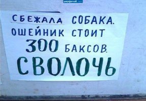 Не самая простая история собачьих ошейников от Древнего Египта до современности