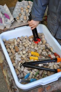 Родители винные бухарики?