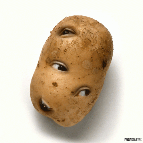 С картошкой лучше шутить, у неё Батька строгий.