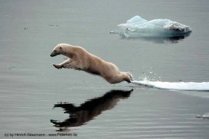 А теперь - купаться!