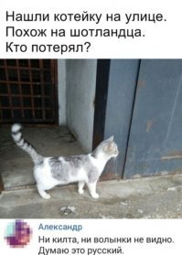 балалайки не вижу. просто безродный