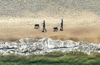 Тут будто тень