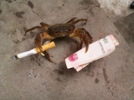 А это его дилер :