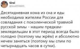 Зимние каникулы:  как прошли первые восемь дней нового года в России