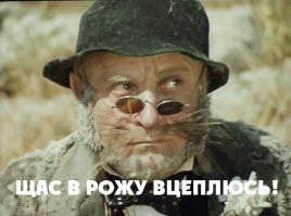 В переводе с кошачьего это означает: