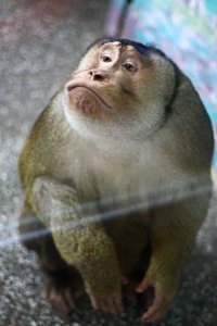 И что дальше?