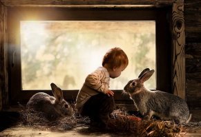 Любой фотограф вам скажет, что фотографировать детей и животных - самое сложное. Но никого не интересует, сколько времени, терпения и сил ты потратил на этот кадр - важен результат. 

Да, фотографии добрые, но первооткрывателем именно в таком солнечно-деревенско-детско стиле считаю российского фотографа Елену Шумилову. Всё остальное - повтор. Понимаю, что фотографии разные, но стиль такой же. И у Елены, кстати, дети дружат со всеми животными, а не только с ручными кошками :) Не умаляю заслуги фотографа Ивоны Подласинской, просто не нужно выдавать её работы, как что-то сверхъестественное. 

Вот парочка работ Елены Шумиловой