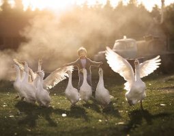Любой фотограф вам скажет, что фотографировать детей и животных - самое сложное. Но никого не интересует, сколько времени, терпения и сил ты потратил на этот кадр - важен результат. 

Да, фотографии добрые, но первооткрывателем именно в таком солнечно-деревенско-детско стиле считаю российского фотографа Елену Шумилову. Всё остальное - повтор. Понимаю, что фотографии разные, но стиль такой же. И у Елены, кстати, дети дружат со всеми животными, а не только с ручными кошками :) Не умаляю заслуги фотографа Ивоны Подласинской, просто не нужно выдавать её работы, как что-то сверхъестественное. 

Вот парочка работ Елены Шумиловой