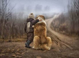 Любой фотограф вам скажет, что фотографировать детей и животных - самое сложное. Но никого не интересует, сколько времени, терпения и сил ты потратил на этот кадр - важен результат. 

Да, фотографии добрые, но первооткрывателем именно в таком солнечно-деревенско-детско стиле считаю российского фотографа Елену Шумилову. Всё остальное - повтор. Понимаю, что фотографии разные, но стиль такой же. И у Елены, кстати, дети дружат со всеми животными, а не только с ручными кошками :) Не умаляю заслуги фотографа Ивоны Подласинской, просто не нужно выдавать её работы, как что-то сверхъестественное. 

Вот парочка работ Елены Шумиловой
