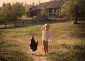 Любой фотограф вам скажет, что фотографировать детей и животных - самое сложное. Но никого не интересует, сколько времени, терпения и сил ты потратил на этот кадр - важен результат. 

Да, фотографии добрые, но первооткрывателем именно в таком солнечно-деревенско-детско стиле считаю российского фотографа Елену Шумилову. Всё остальное - повтор. Понимаю, что фотографии разные, но стиль такой же. И у Елены, кстати, дети дружат со всеми животными, а не только с ручными кошками :) Не умаляю заслуги фотографа Ивоны Подласинской, просто не нужно выдавать её работы, как что-то сверхъестественное. 

Вот парочка работ Елены Шумиловой