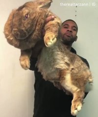 Два нарушения по цене одного: как американец решил зайцем попасть в метро Нью-йорка