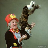 просто нужна дрессура