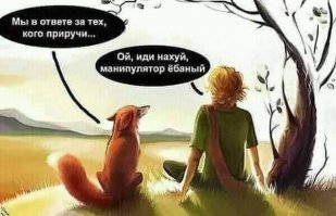 Девушка выходила белочку и та решила, что она станет «крестной матерью» её потомства