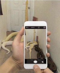 ...Ваши действия? :)