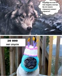 25 любопытных сравнений, которые заставят вас иначе смотреть на привычные вещи