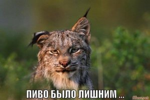 Зверские фото