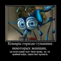 Почему комары пьют кровь и зачем она им нужна?