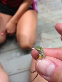 Прикольные и смешные картинки