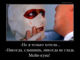Мейн-куны, на которых можно смотреть вечно
