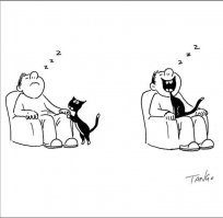 Прикольные и смешные картинки