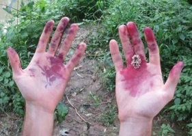 Прикольные и смешные картинки