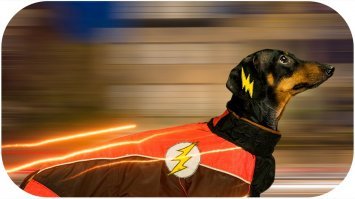 Неожиданное окончание прогулки с ребенком на пляже