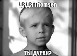 Две собаки на ж/д путях