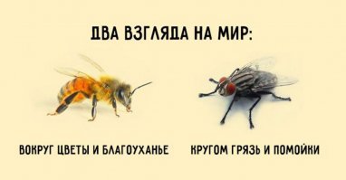 Водитель автобуса в Милуоки подобрала на улице замерзавшего ребенка