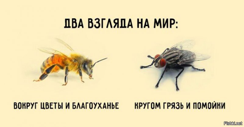 Водитель автобуса в Милуоки подобрала на улице замерзавшего ребенка