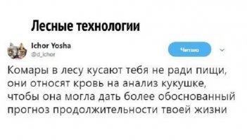 Почему комары пьют кровь и зачем она им нужна?