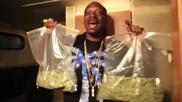 Прикольные и смешные картинки