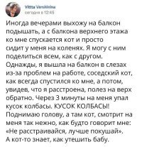 кот-фетишист, у него колбаса ассоциировалась с мужским членом.
так и намекнул барышне, мужика тебе, дура не хватает
