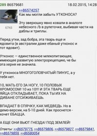 А еще в Австралии милейшая фауна, вот утконос например:
