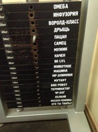 Смешные картинки с надписями