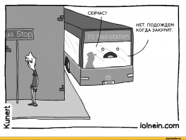 Прикольные и смешные картинки