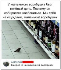 Мы их не осуждаем!